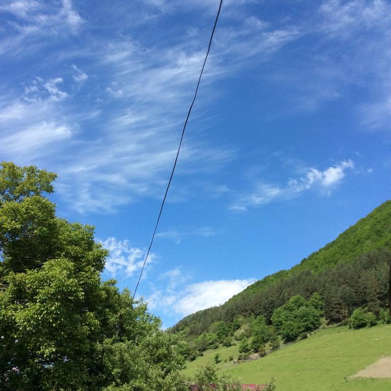 Guest House Chuta In Lagami 梅斯蒂亚 外观 照片